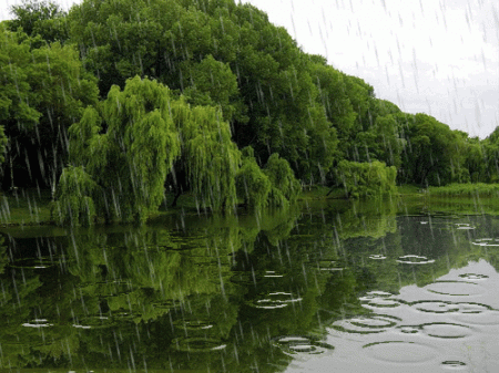 Şimşək çaxacaq, yağış yağacaq” –Nazirlikdən sabaha olan hava proqnozu