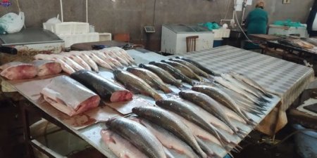 "Qulağına pomada sürtüb satırlar..." -Bakıda balıq bazarından Reportaj
