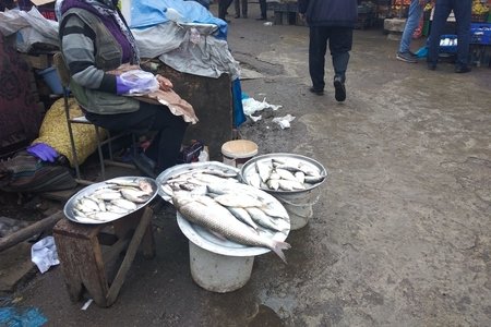 İran balığı Lənkəran bazarlarına necə ayaq açıb?