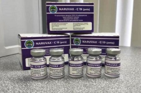 Qazaxıstanda ev heyvanları üçün COVID vaksini hazırlandı