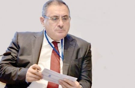 SOCAR- ın vitse-prezidenti Süleyman Qasımovun əmisi oğlu itə təcavüz etdiyinə görə Gürcüstan Baş prokurorluğu cinayət işi başlatdı