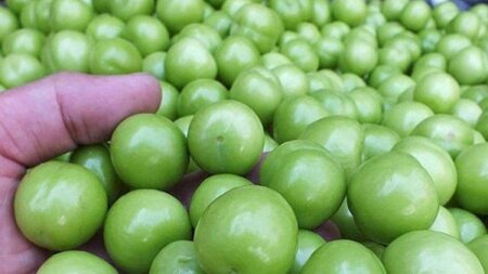 Cəmi beş ədəd alça yeddi manata satılır - VİDEO