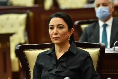Ombudsman Səbinə Əliyeva müharibədə itkin düşənlərlə bağlı paylaşım edib
