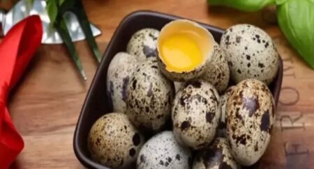 Kiçik ölçüdə, lakin saysız-hesabsız faydaları ....