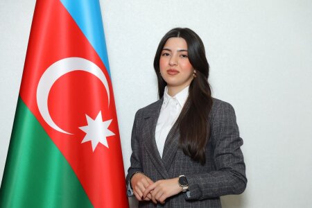 Müəllif hüququ və rəqəmsal mühitdə əsərlərin paylaşılması - Hüquqi sərhədlər