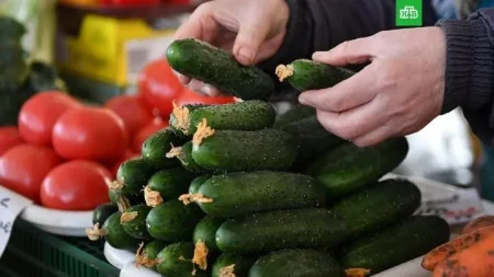 Xiyar və pomidorun qiyməti bu səbəbdən artırmış... - AÇIQLAMA