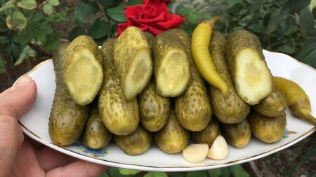 Xiyar turşusundan milçək çıxdı: AQTA araşdırmaya başladı
