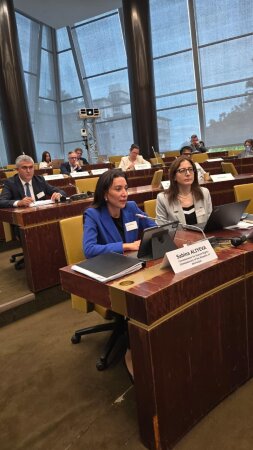 Ombudsman Səbinə Əliyeva Strasburqda İkinci Biznes və İnsan Hüquqları Forumunda iştirak edib