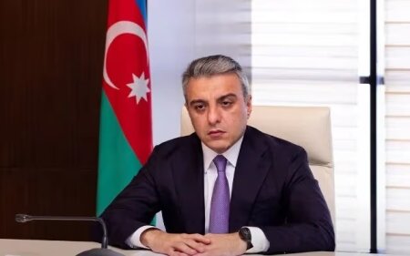 Vüsal Nəsirli departament müdiri təyin etdi