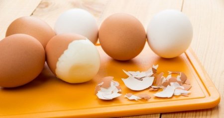 Yumurta qabığının inanılmaz faydaları