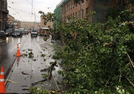 Moskvada güclü qasırğa: 11 ölü