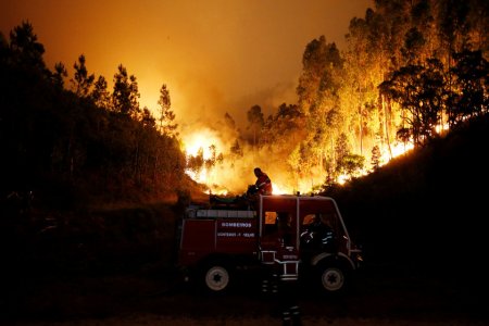 Portuqaliyada dəhşətli meşə yanğını - 57 ölü var + Fotolar + Video
