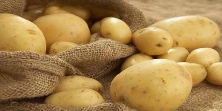 Kartofa gömrük rüsumu artırıldı: Bu qərar kartofun qiymətinə təsir edəcəkmi? (VİDEO)
