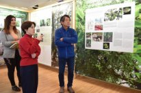 AMEA Botanika İnstitutu Yaponiya ilə elmi əlaqələri genişləndirib