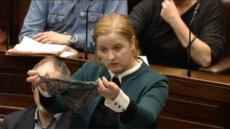 İrlandiya parlamentində “alt paltarı” qalmaqalı – Aksiyalar başladı (Fotolar)