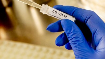 Koronavirusa yoluxub sağaldığınızı testsiz necə bilmək olar?