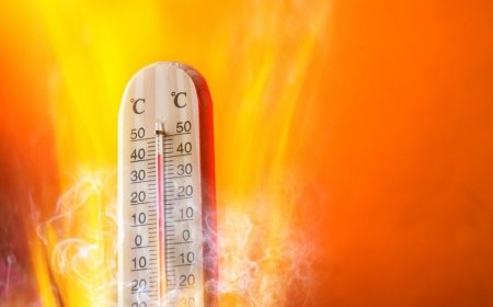 Umayra Tağıyeva: "16 gündür havanın maksimal temperaturu 35 dərəcədən yüksəkdir"