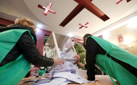 Gürcüstandakı seçkilərin ilkin rəsmi nəticələri açıqlanıb