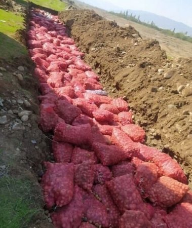 Rusiyadan gətirilən 66 ton kartofu xəndəkdə basdırdılar! – FOTO