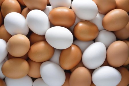 Yumurtanın qiyməti bahalaşıb