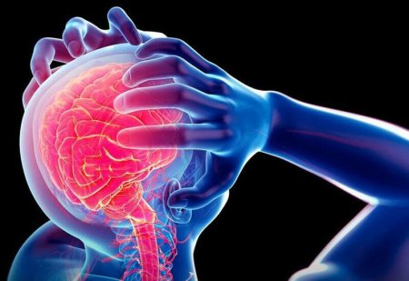 Beyin damarlarının sklerozu zamanı XALQ TƏBABƏTİ VASİTƏLƏRİ