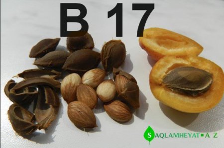 Vitamin B17 Qadağandır, Çünki o, Xərçəng xəstəliyini Sağaldır!!
