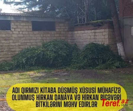 Hirkan Milli Parkında gedən "soyqırım" artıq qələm əhlin də ayağa qaldırıb FOTO