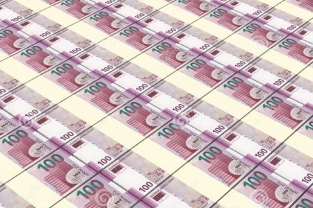 Dövlət qurumlarında 80 milyon manat maliyyə pozuntusu aşkarlanıb - HESABAT