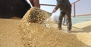 США пытаются спасти украинское зерно