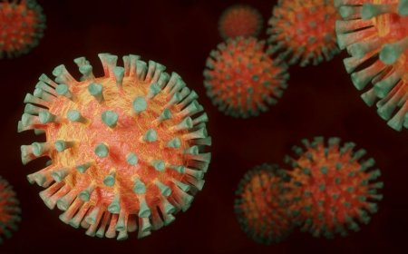 Koronavirus sürətlə yayılır