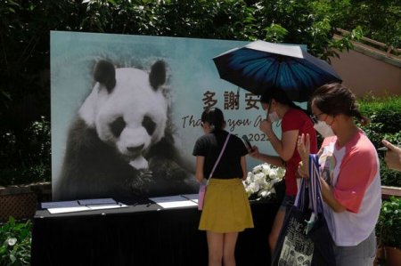 Dünyanın ən yaşlı nəhəng pandası öldü