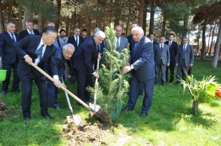 Prezident açılışa gəlmədi, İH isə növbəti yalanını yaydı - FOTOLAR