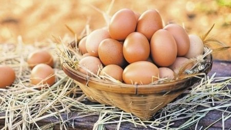 Yumurtanı bahalaşdıran kimlərdir? - İstehsalçılar real qiyməti AÇIQLADILAR