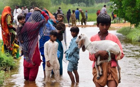 Pakistanda leysan yağışlar nəticəsində ölənlərin sayı 1 061 nəfərə çatıb