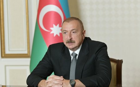 Prezident sərhəddəki vəziyyətdən DANIŞDI