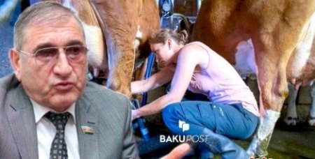 “Bu gün cavan qızlarımız inək sağa bilmir” – Deputat