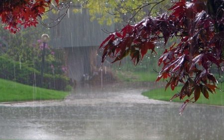 SON DƏQİQƏ! Milli Hidrometeorologiya Xidməti XƏBƏRDARLIQ ETDİ