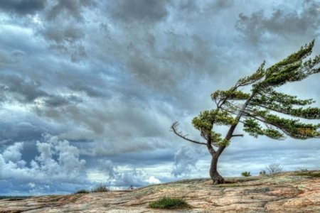 Temperatur 5-8 dərəcə aşağı düşəcək: Güclü külək əsəcək, qar yağacaq