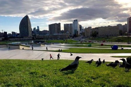Sabahın hava proqnozu AÇIQLANDI
