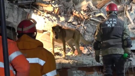 Tələbələrimizin olduğu dağıntıdan xəbər gəldi - video