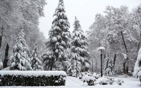 Umayra Tağıyevadan hava XƏBƏRDARLIğı