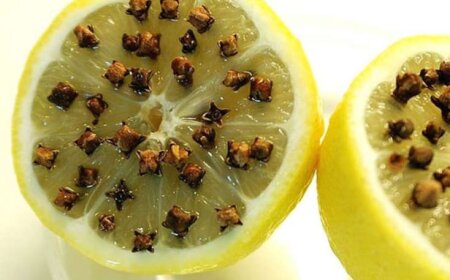 Yataq otağına bunları qoyun-İNANILMAZ FAYDA