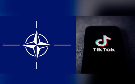 NATO-da bunlara “TikTok”dan istifadə qadağan olundu