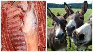 Eşşək ətini Azərbaycana kimlər göndərirdi? - Tarixi faktlar SƏNƏDLƏRLƏ