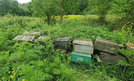 Tuğda erməni hərbi qüvvələrinə məxsus partlayıcı vasitələr tapıldı - VİDEO