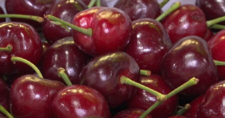 Bazarda kilosu 70 manata olan gilasın özəlliyi nədir? – VİDEO