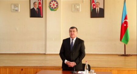 Xətai rayonunda ağacların məhv edilməsi üçün “KREATİV ÜSUL” - FOTO