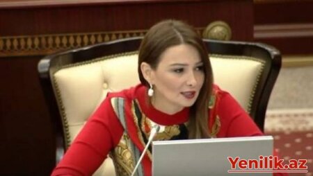 Bu nazirliyi tənqid eti, sonra..-VİDEO