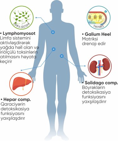 Azərbaycanda ilkhamiləliyə hazırlıq müalicə proqramı