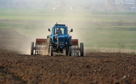 Azərbaycanda torpaq qanunvericiliyinin tələblərinin pozulmasına görə 1 474 protokol tərtib edilib